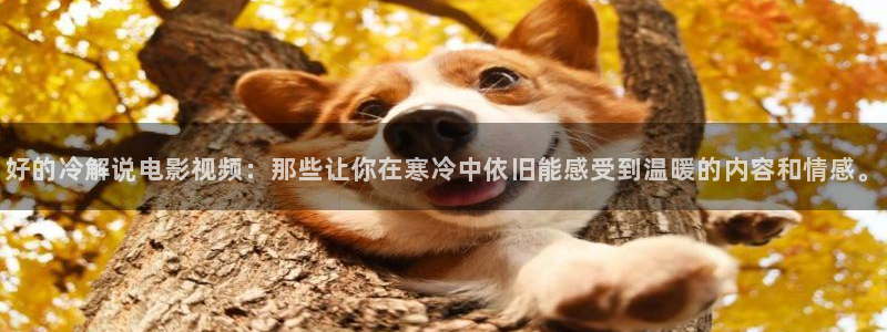 电影在线观看 青苹果影院