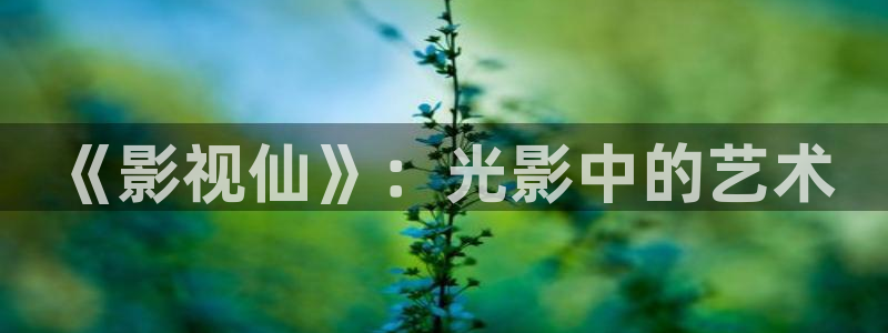 青苹果播放