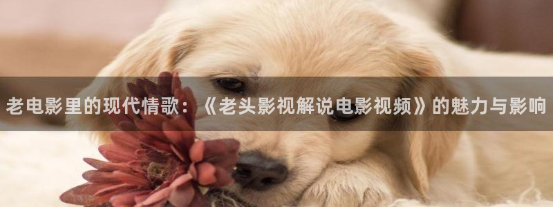 青苹果影视yy4080影院