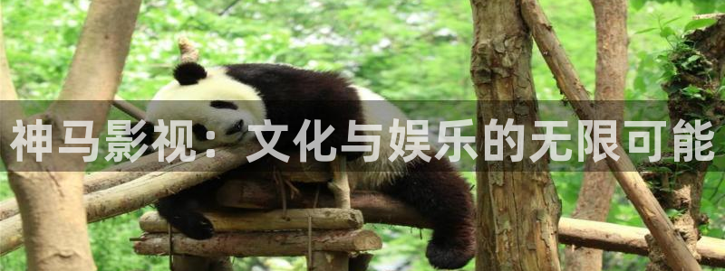 yy4080青苹果影院私人影视