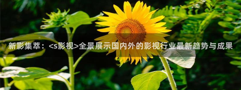 4488yy青苹果影院
